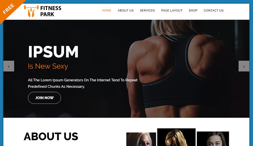 Fitness Park Fitness Studio and Gym Free Wordpress