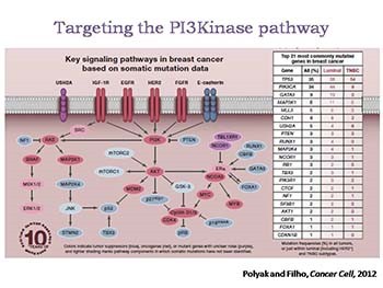 Metastatic Breast Cancer and Emerging Research