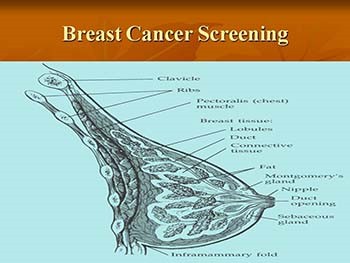 Screening for Breast Cervical Prostate and Lung Cancer