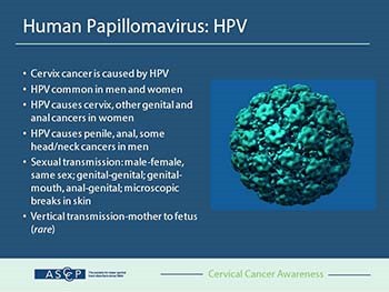 Cervical Cancer Awareness: HPV 101