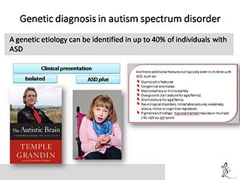 Genetics of Autism Spectrum Disorder