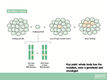 Hereditary cancer the next generation