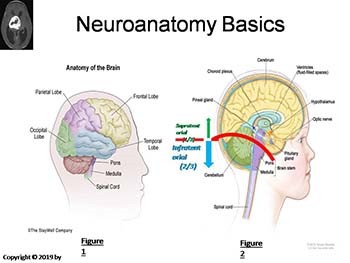 Pediatric Hematology - Oncology Review Course - Brain Tumors