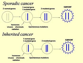Cancer Genetics for Primary Care