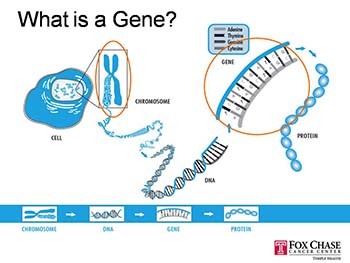 Genetics: For this Generation and the Next