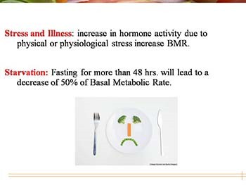 Basal Metabolic Rate