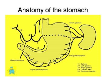 GASTRIC CARCINOMA