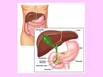 Pancreas and diabetes