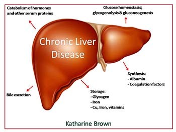 Chronic Liver Disease