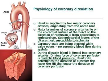 Chronic forms of ischemic heart disease