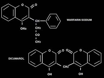 Oral Anticoagulant Therapy