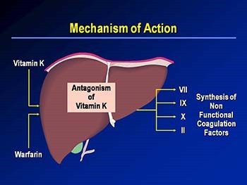 Warfarin