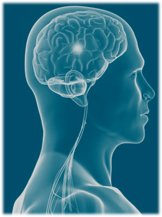 Download Free Medical Stroke PowerPoint Presentation