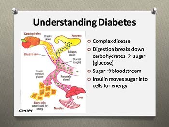 Diabetes Basics