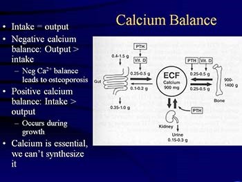 Study Guide for Calcium and Phosphate Metabolism