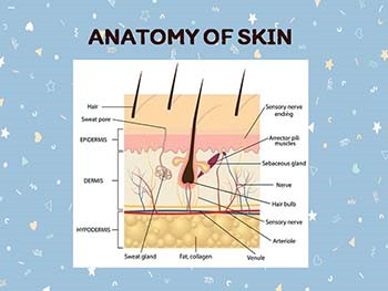 SKIN DISORDER