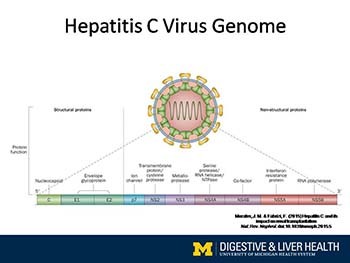 Chronic hepatitis C guidelines for screening and treatment