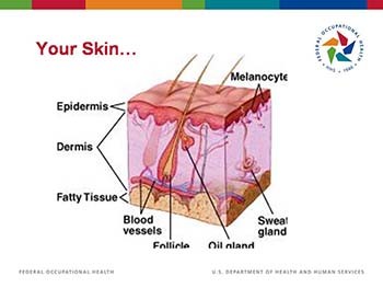 Skin Cancer Wiki