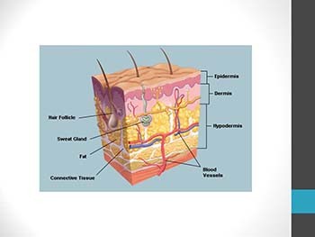 Basics of Pressure Ulcer Prevention and Wound Care