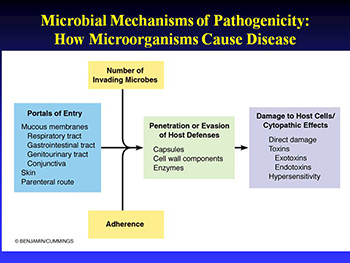 Microbial Pathogenesis