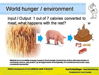 The global consequences of our nutritional habits