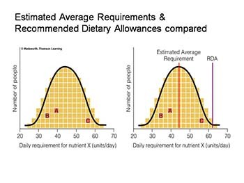 HUMAN NUTRITION