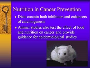 Nutrition in Cancer Prevention