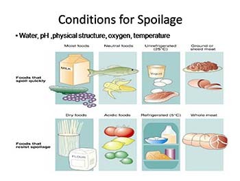 Food borne diseases