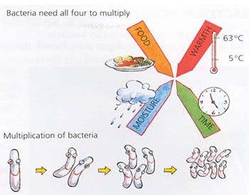 About Food Poisoning