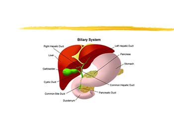 Diseases of the Biliary Tract