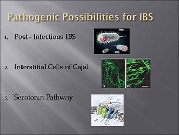 Pathogenesis of IBS