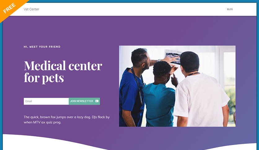 Hestia Veterinary Hospital and Veterinary Doctor Free Wordpress