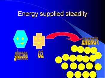 Aerobic and Anaerobic Energy Systems