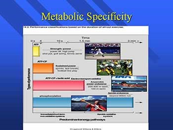 Aerobic and Anaerobic Training