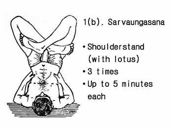 Classic Asanas - Main Yoga Postures