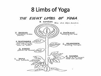 YOGA for Wellness-Gentle Yoga Practice