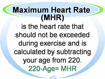 Cardiovascular Fitness