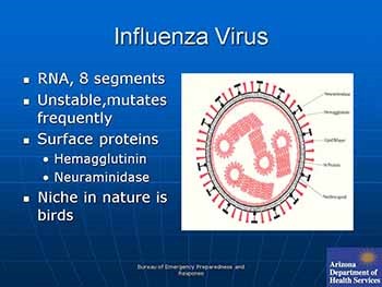 88 Years of Influenza Pandemics in 15 Minutes