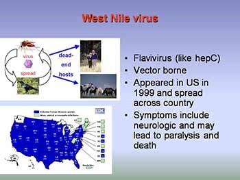 Viral pathogenesis