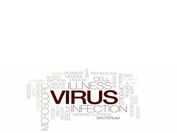 Virus