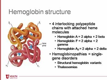 Hemoglobinopathies in Pregnancy