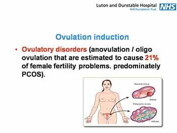 Fertility Assessment and Treatment