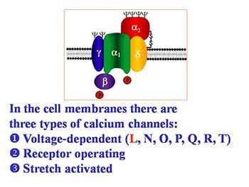 Calcium antagonists