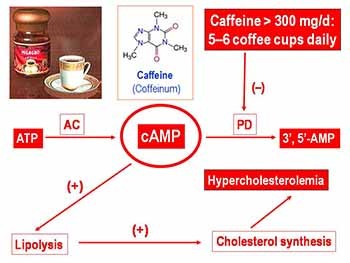 Antidepressants Mood stabilizers Psychostimulants Nootropic drugs and CNS stimulants