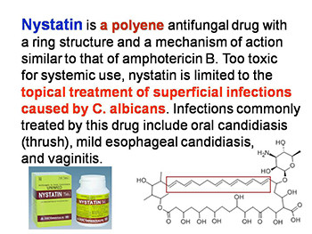 Antifungal Drugs