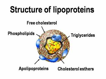 Antidyslipidemic Drugs