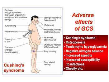 Drugs Acting on Respiratory System