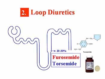 Diuretic drugs