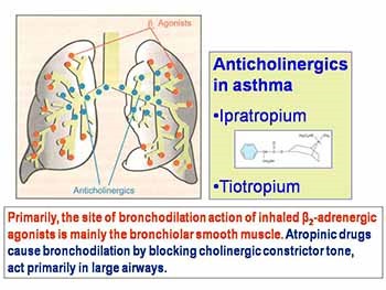 Anticholinergic Drug