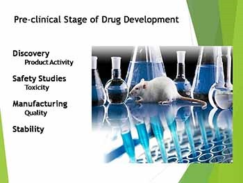 Clinical Trials: The Drug Development Process